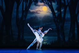 Nouveaux Ballets Russes: Swan Lake